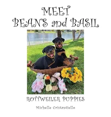 Triff Bohnen und Basilikum - Meet Beans and Basil