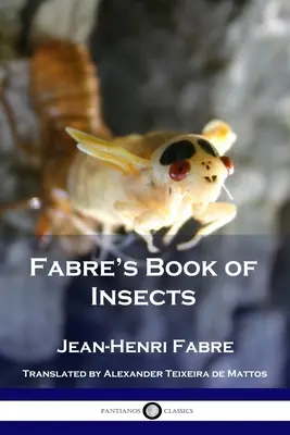 Fabre's Buch der Insekten - Fabre's Book of Insects