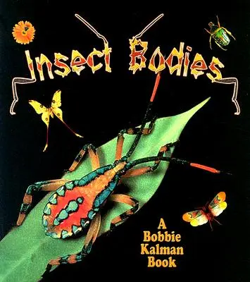 Insektenkörper - Insect Bodies