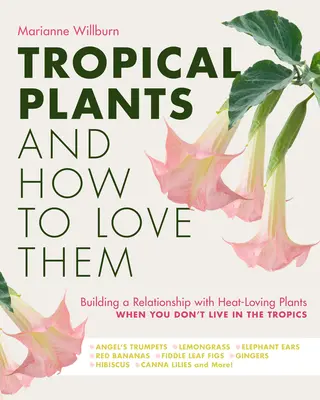 Tropische Pflanzen und wie man sie liebt: Wie man eine Beziehung zu wärmeliebenden Pflanzen aufbaut, wenn man nicht in den Tropen lebt - Engelstrompeten - Lemongra - Tropical Plants and How to Love Them: Building a Relationship with Heat-Loving Plants When You Don't Live in the Tropics - Angel's Trumpets - Lemongra