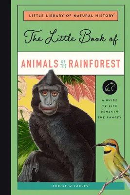 Das kleine Buch der Tiere des Regenwaldes: Ein Leitfaden für das Leben im artenreichsten Ökosystem der Erde - The Little Book of Animals of the Rainforest: A Guide to Life in Earth's Most Diverse Ecosystem