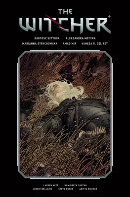 The Witcher Bibliotheksausgabe Band 2 - The Witcher Library Edition Volume 2