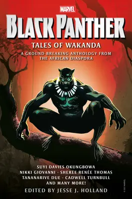 Schwarzer Panther: Erzählungen aus Wakanda - Black Panther: Tales of Wakanda