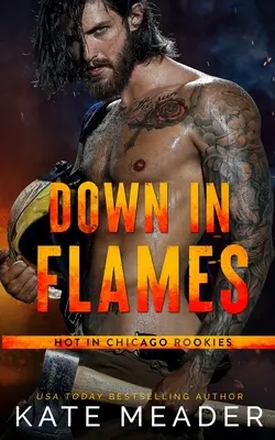 Down in Flames (ein Hot in Chicago Rookies-Roman) - Down in Flames (a Hot in Chicago Rookies Novel)