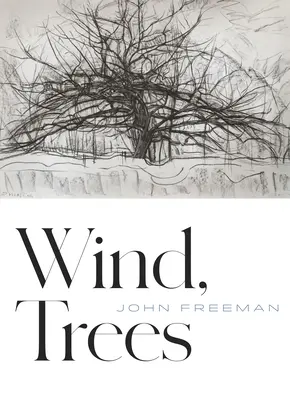 Wind, Bäume - Wind, Trees