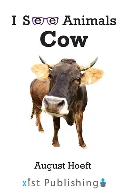 Kuh - Cow