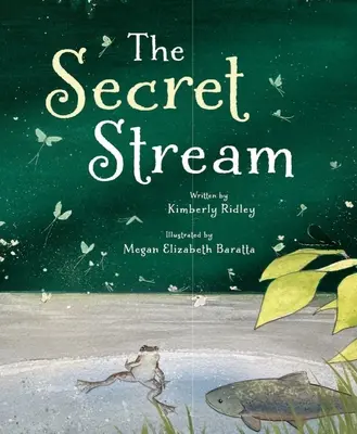 Der geheime Strom - The Secret Stream