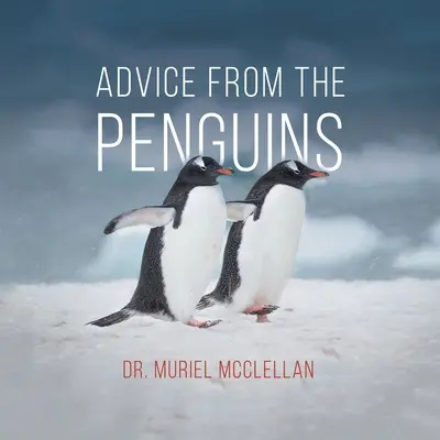 Ratschläge von den Pinguinen - Advice from the Penguins