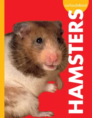 Neugierig auf Hamster - Curious about Hamsters