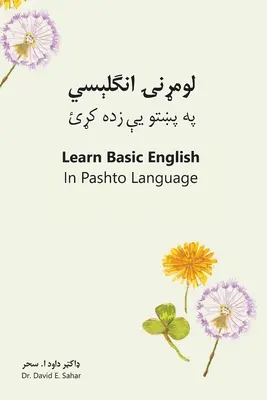 Lernen Sie grundlegendes Englisch in Pashto - Learn Basic English in Pashto Language