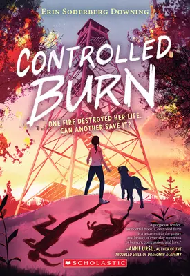 Kontrollierte Verbrennung - Controlled Burn