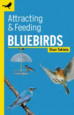 Blauvögel anlocken & füttern - Attracting & Feeding Bluebirds