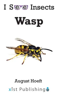 Wespe - Wasp