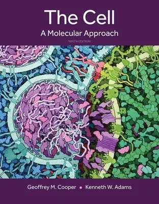 Die Zelle: Eine molekulare Betrachtungsweise - The Cell: A Molecular Approach