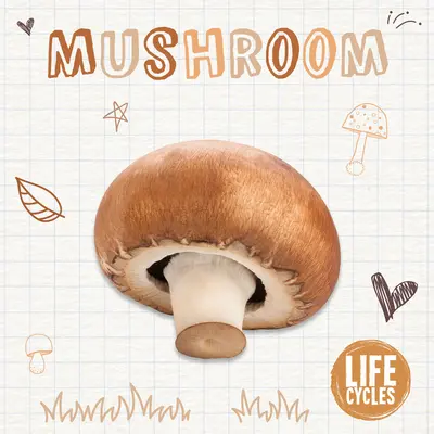 Pilz - Mushroom