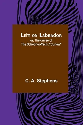 Links auf Labrador; oder, Die Kreuzfahrt der Schoner-Yacht Curlew - Left on Labrador; or, The cruise of the Schooner-yacht Curlew