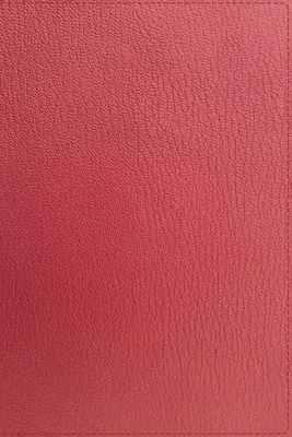 Niv, Thinline Bibel, Premium Ziegenleder, Koralle, Premier Collection, Schwarze Schrift, Gaufrierte Ränder, Comfort Print - Niv, Thinline Bible, Premium Goatskin Leather, Coral, Premier Collection, Black Letter, Gauffered Edges, Comfort Print