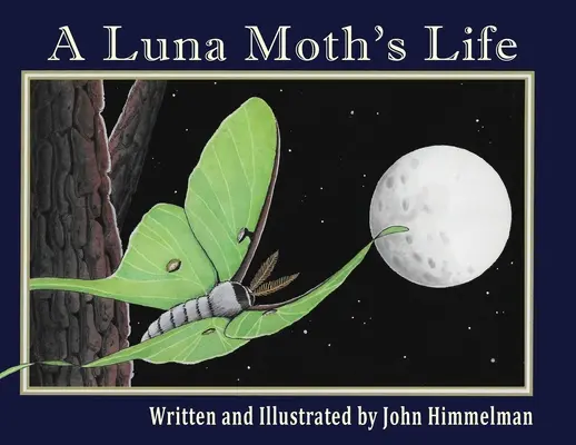 Das Leben einer Luna-Motte - A Luna Moth's Life