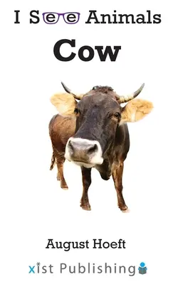 Kuh - Cow