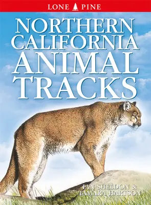 Tierspuren in Nordkalifornien - Northern California Animal Tracks