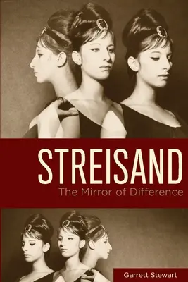 Streisand: Der Spiegel des Unterschieds - Streisand: The Mirror of Difference