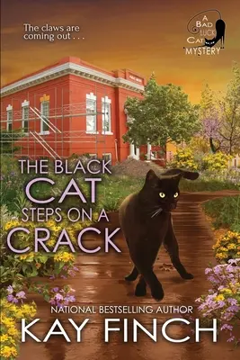 Die Schwarze Katze tritt auf einen Riss - The Black Cat Steps on a Crack