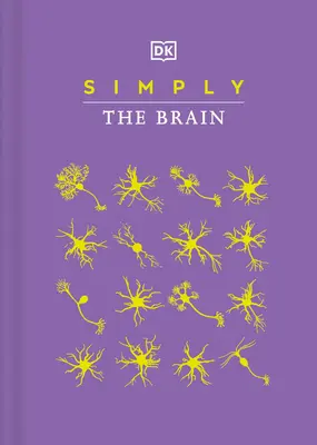 Einfach das Gehirn - Simply the Brain