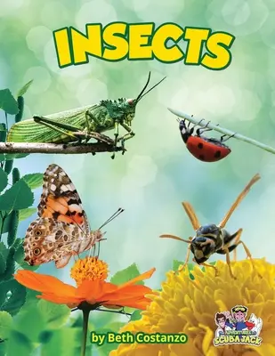 Insekten - Insects