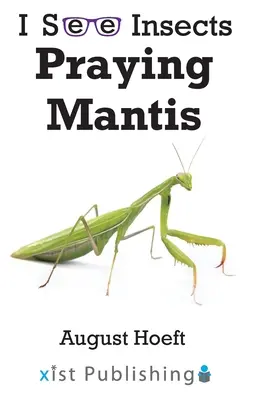 Gottesanbeterin - Praying Mantis