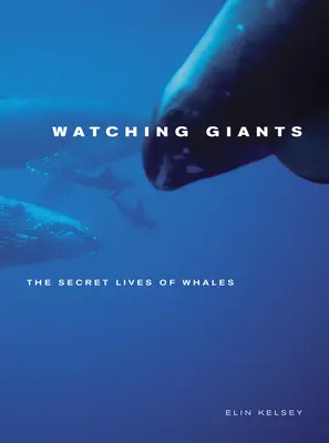 Giganten im Visier: Das geheime Leben der Wale - Watching Giants: The Secret Lives of Whales