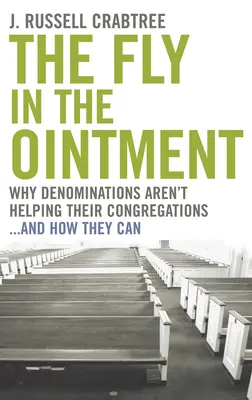 Die Fliege in der Suppe: Warum Konfessionen ihren Gemeinden nicht helfen ... und wie sie es können - The Fly in the Ointment: Why Denominations Aren't Helping Their Congregations...and How They Can