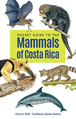 Taschenführer zu den Säugetieren Costa Ricas - Pocket Guide to the Mammals of Costa Rica