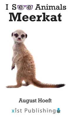 Erdmännchen - Meerkat