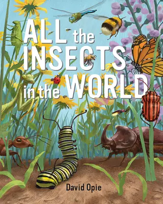 Alle Insekten der Welt - All the Insects in the World