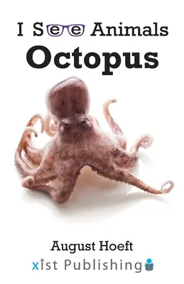 Oktopus - Octopus