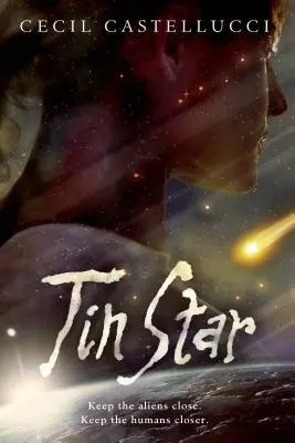 Zinnstern - Tin Star