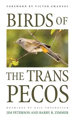 Vögel der Trans-Pecos - Birds of the Trans-Pecos