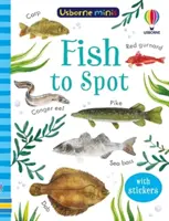 Fische zum Erkennen - Fish to Spot