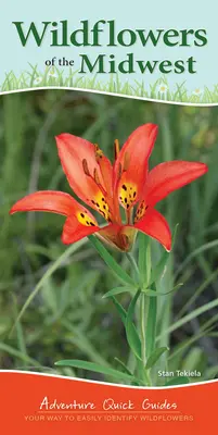 Wildblumen des Mittleren Westens: Ihr Weg zur einfachen Identifizierung von Wildblumen - Wildflowers of the Midwest: Your Way to Easily Identify Wildflowers