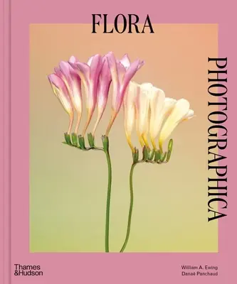 Flora Photographica: Die Blume in der zeitgenössischen Fotografie - Flora Photographica: The Flower in Contemporary Photography