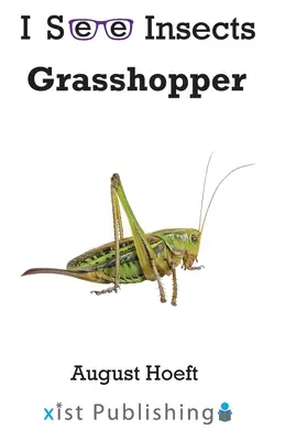 Grashüpfer - Grasshopper