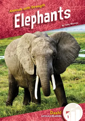Elefanten - Elephants
