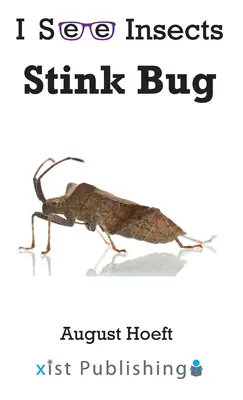 Stinkkäfer - Stink Bug