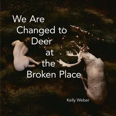 Wir sind verwandelt in Hirsche an einem zerbrochenen Ort - We Are Changed to Deer in the Broken Place