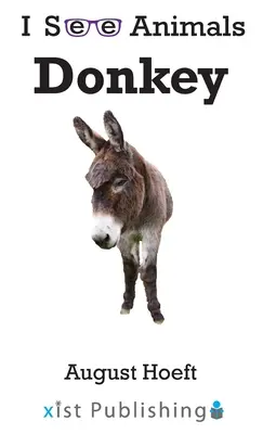 Esel - Donkey