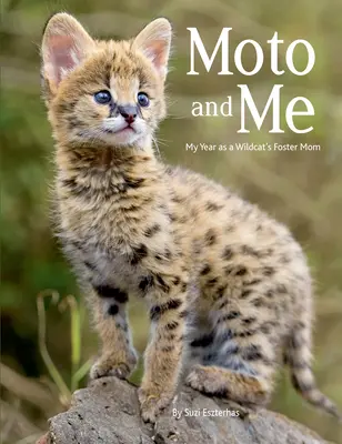 Moto und ich: Mein Jahr als Pflegemutter einer Wildkatze - Moto and Me: My Year as a Wildcat's Foster Mom