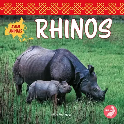 Nashörner - Rhinos