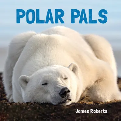 Polarkameraden - Polar Pals