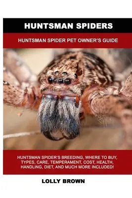 Huntsman-Spinnen: Huntsman Spider - Leitfaden für Haustierbesitzer - Huntsman Spiders: Huntsman Spider Pet Owner's Guide