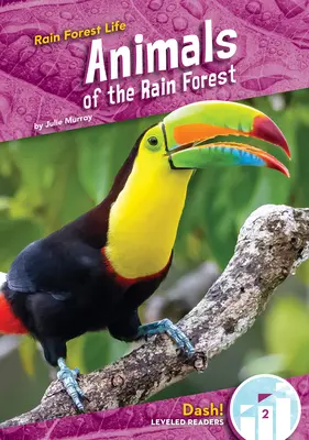 Tiere des Regenwaldes - Animals of the Rain Forest